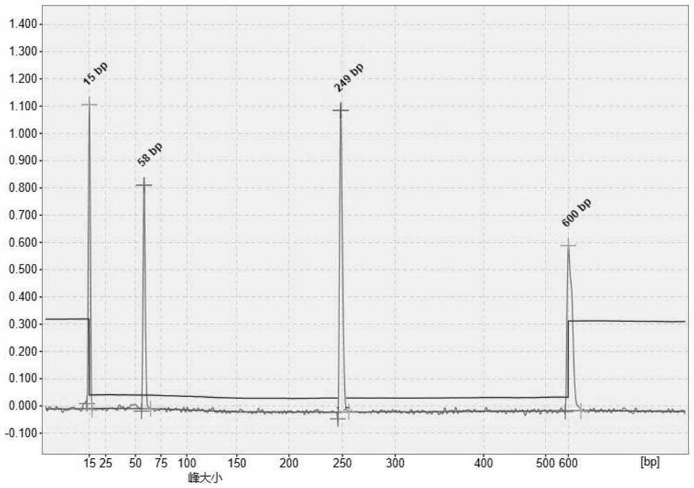 PCR (Polymerase Chain Reaction) primer group and kit for jointly detecting various respiratory viruses