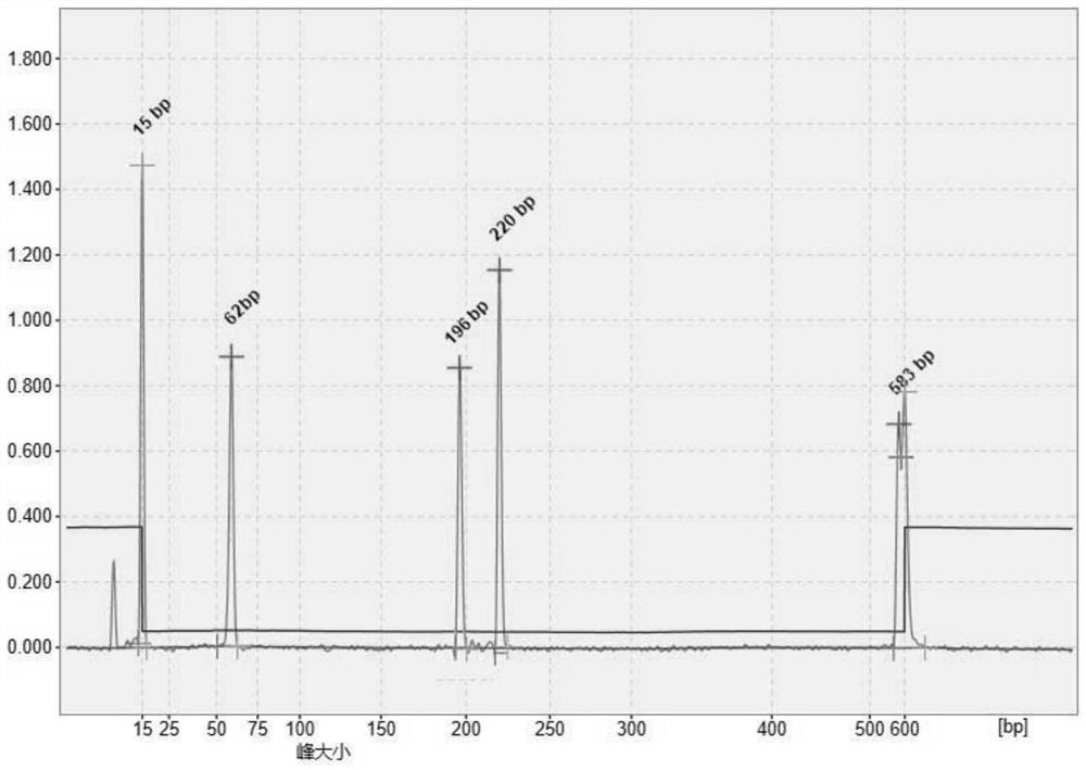 PCR (Polymerase Chain Reaction) primer group and kit for jointly detecting various respiratory viruses