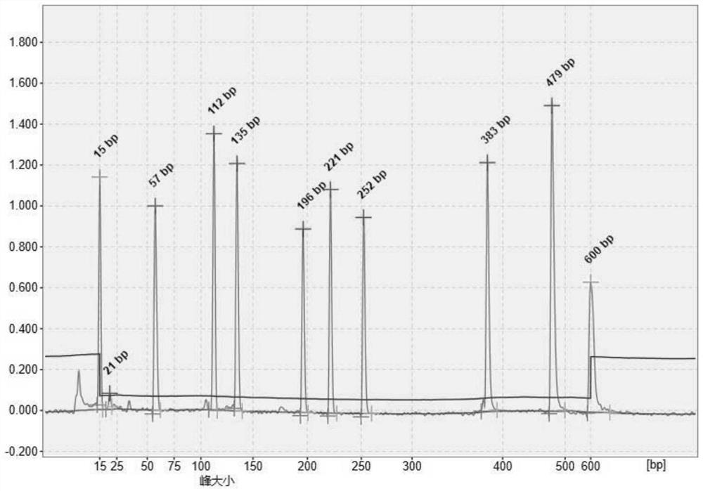 PCR (Polymerase Chain Reaction) primer group and kit for jointly detecting various respiratory viruses