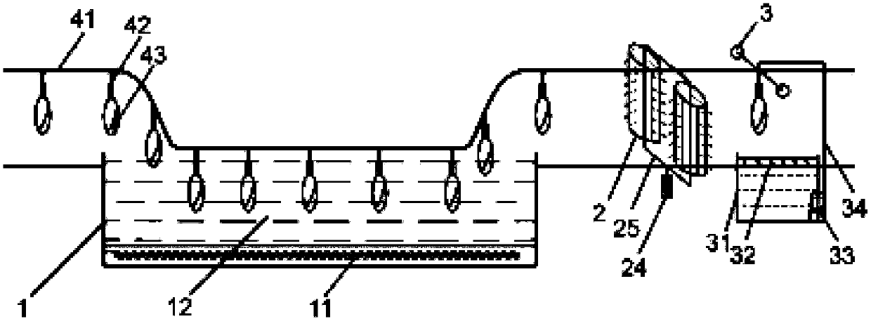 System and method for rapidly removing down and hair roots of duck bodies