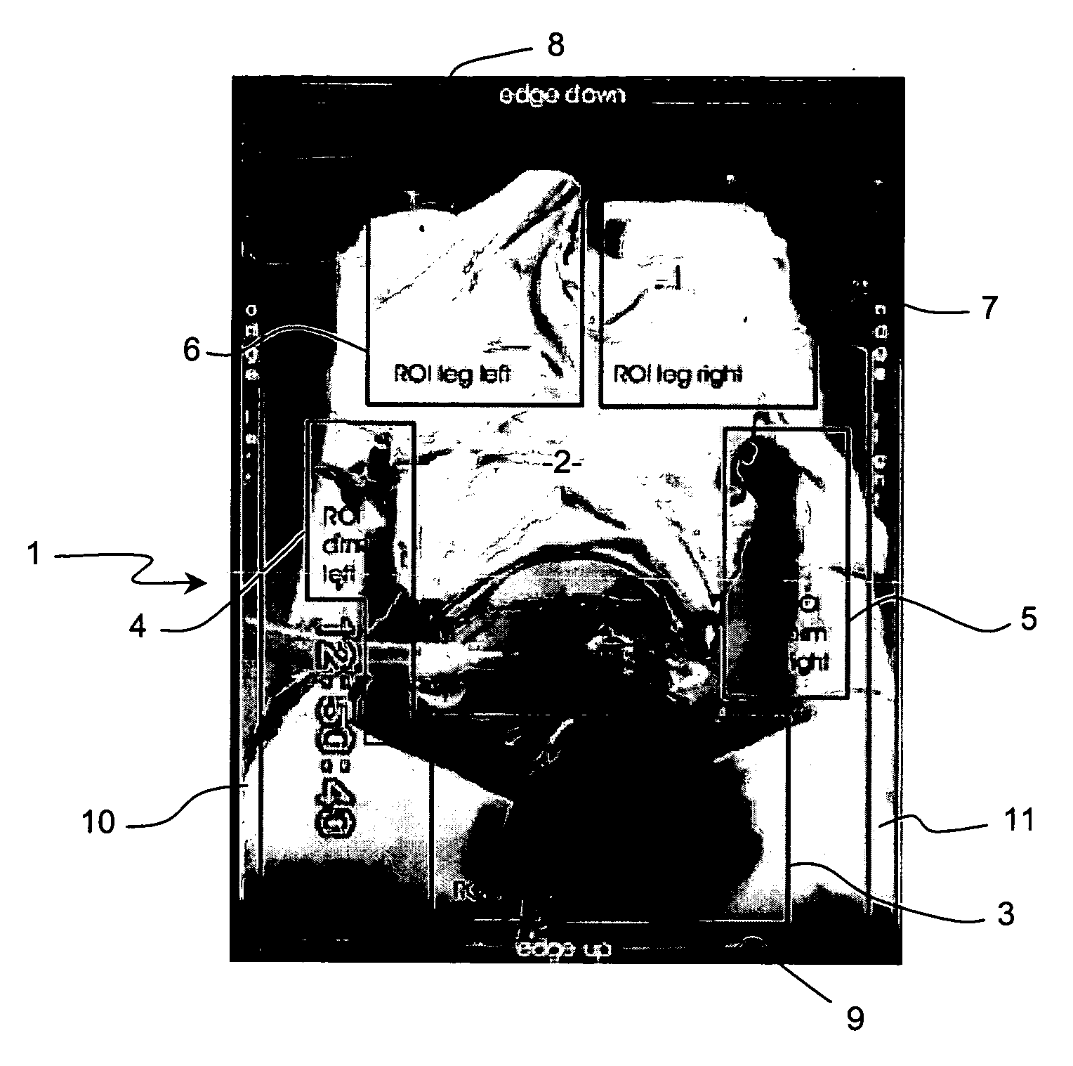 Method and system for assaying agitation