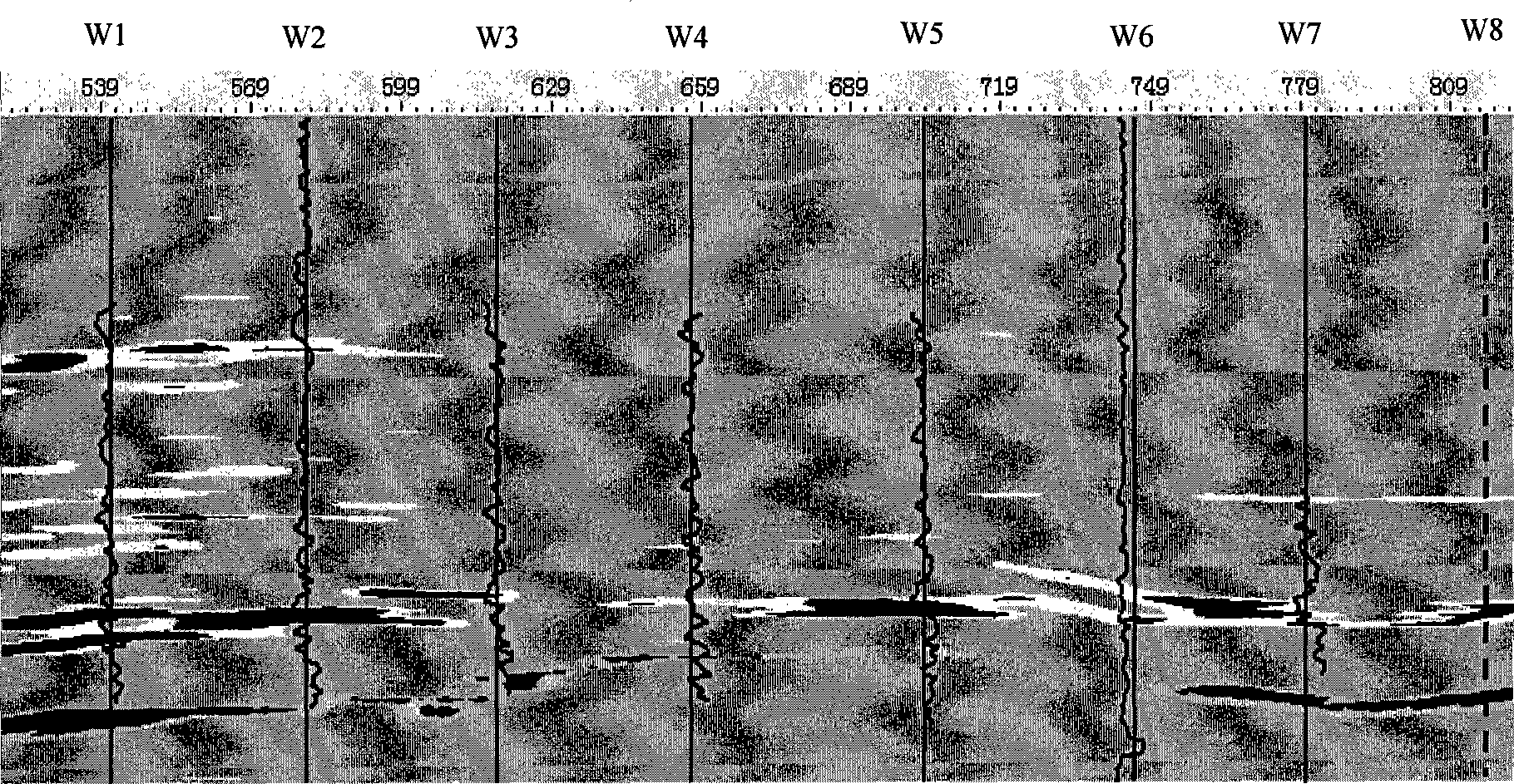 Multi-parameter amalgamation gas deposit detection method for earthquake