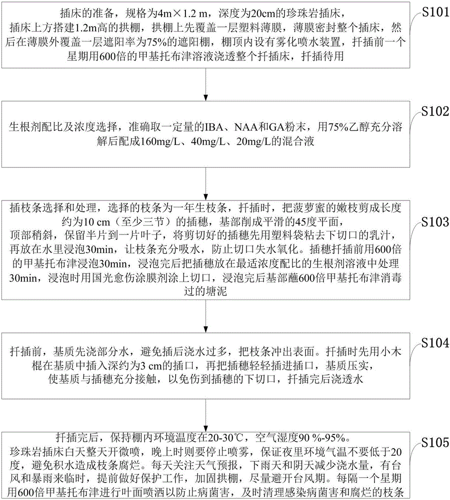 Method for rapid propagation of jackfruit seedling