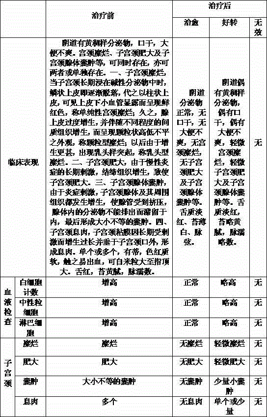 Preparation method of Chinese medicine irrigation solution for treating damp-heat type chronic cervicitis