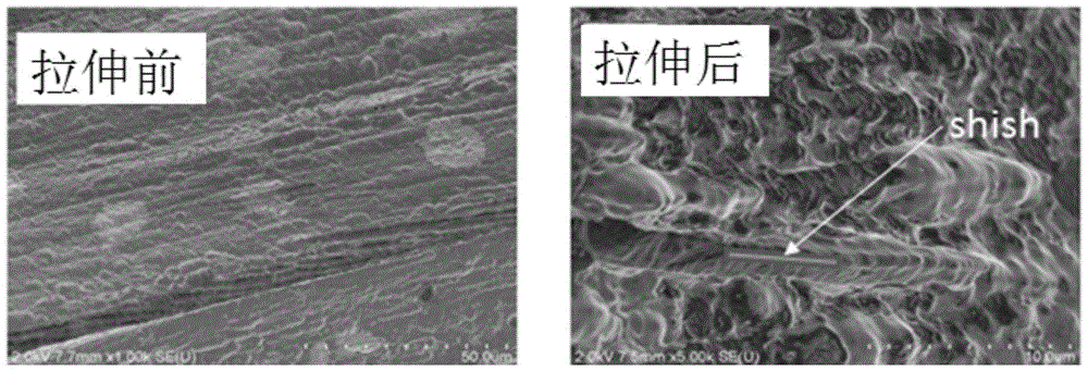 A kind of preparation method of high-strength and high-toughness heat-resistant polylactic acid base film material