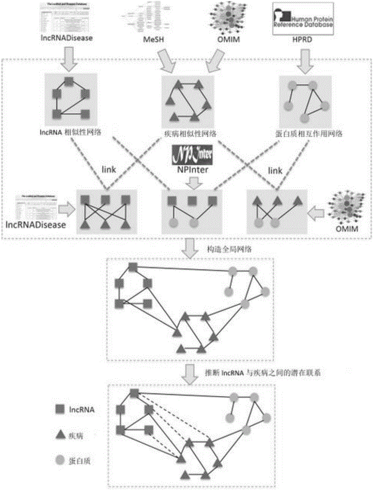 Method for deducing relations between lncRNA and diseases