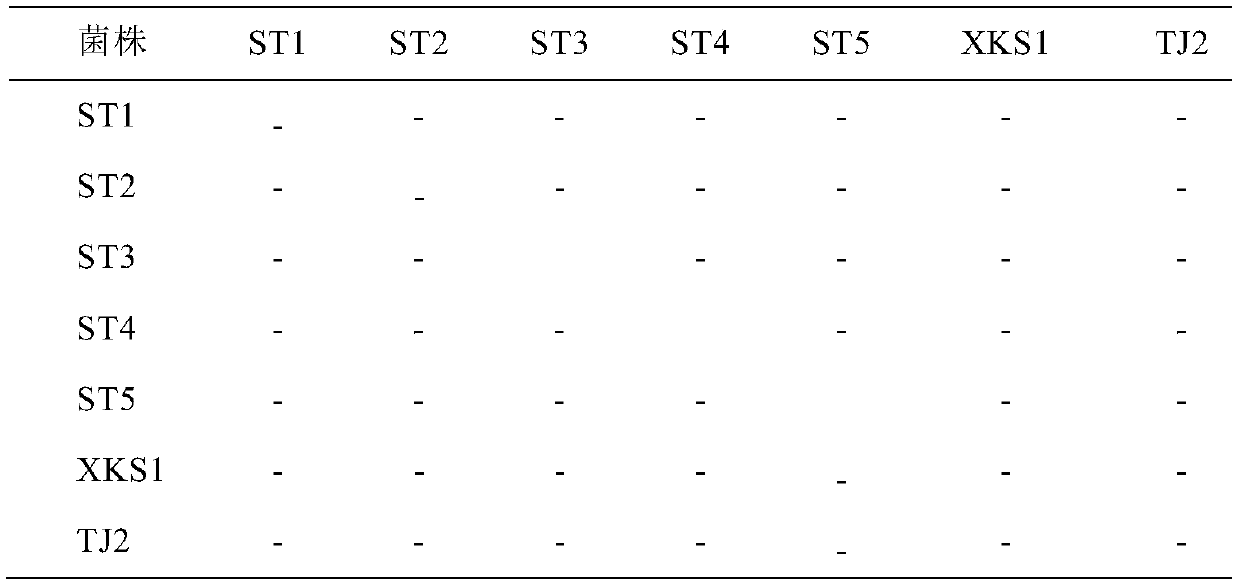 Preparation of composite microbial agent for coal gangue artificial ecological matrix and application thereof