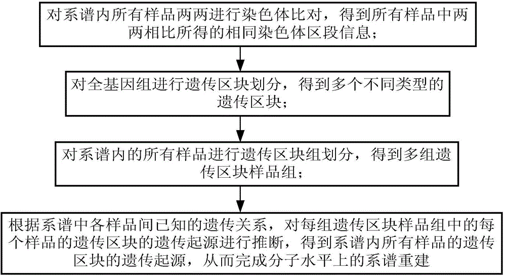 Device and method for genealogy reestablishing on molecular level