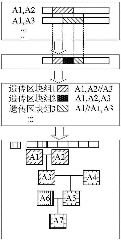 Device and method for genealogy reestablishing on molecular level