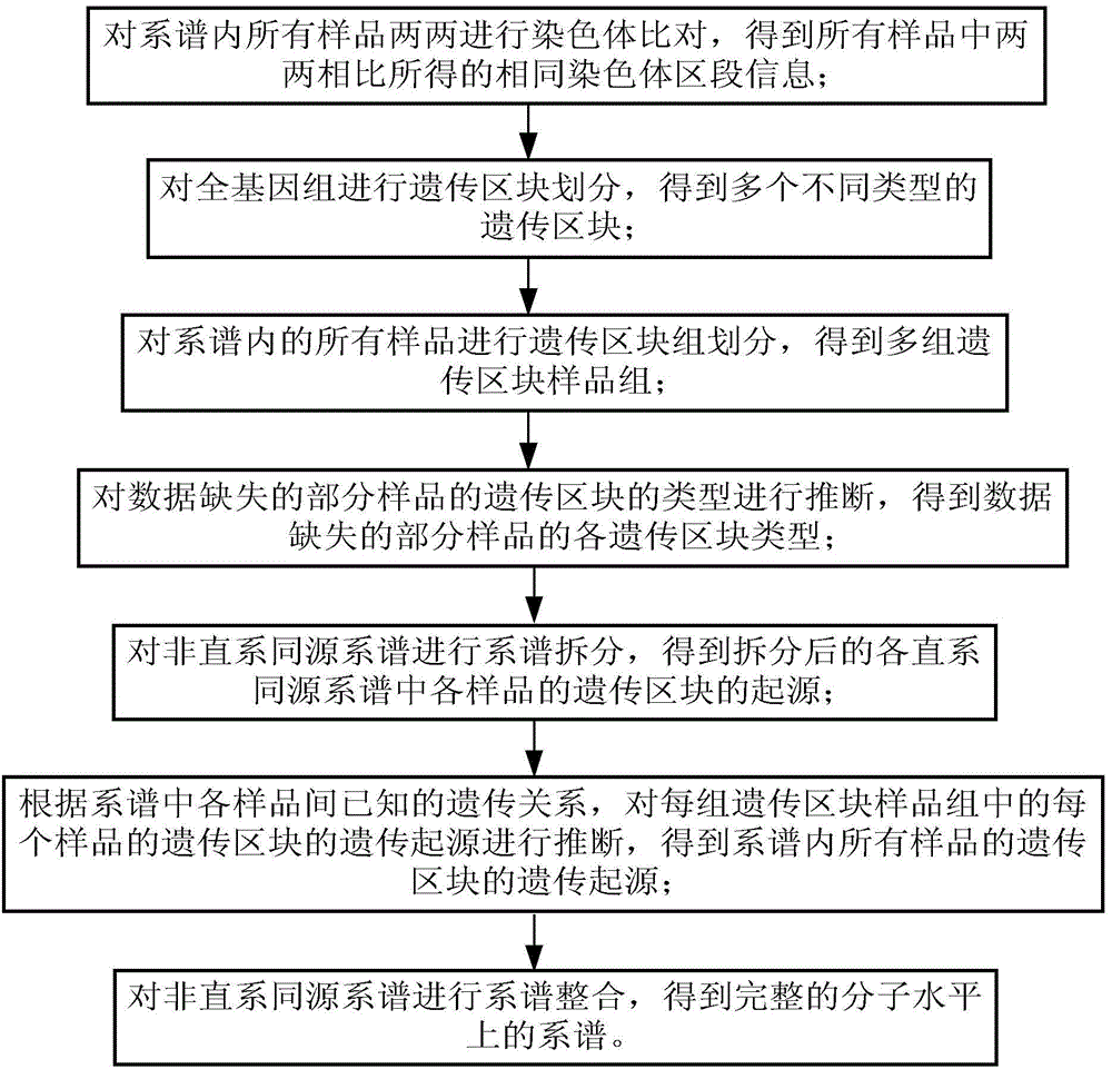 Device and method for genealogy reestablishing on molecular level