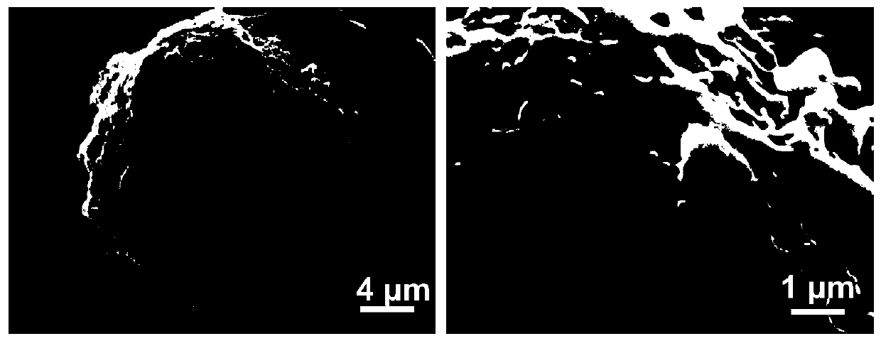 Nanoparticle drug loading system and preparation method and application thereof