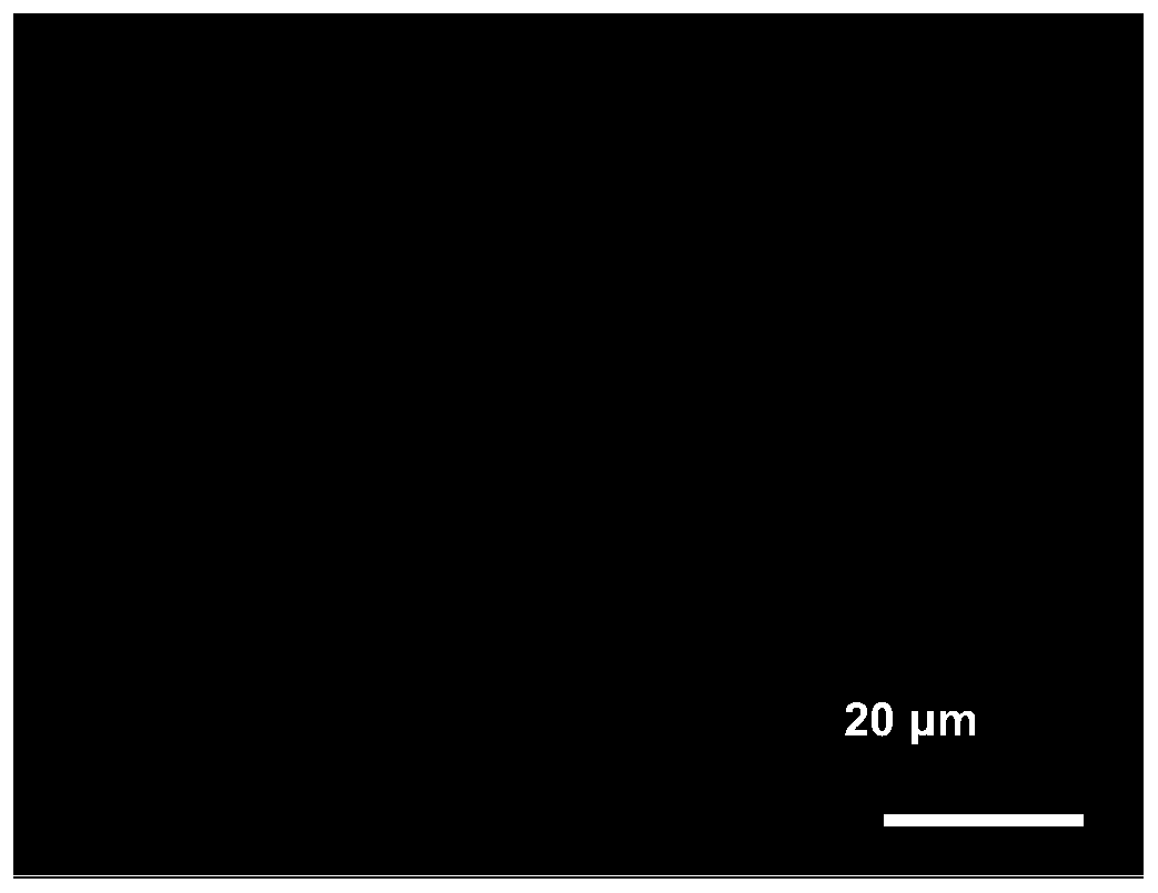 Nanoparticle drug loading system and preparation method and application thereof