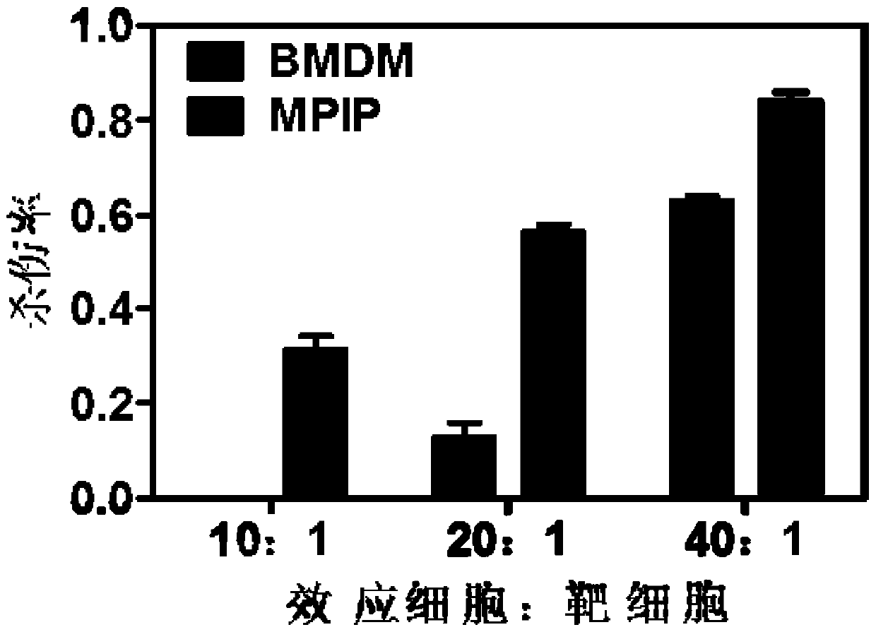 Nanoparticle drug loading system and preparation method and application thereof