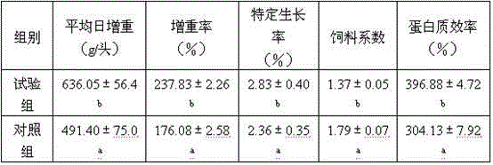 Composite bacillus preparation containing three strains, preparation method of composite bacillus preparation and application of composite bacillus preparation to ecological breeding