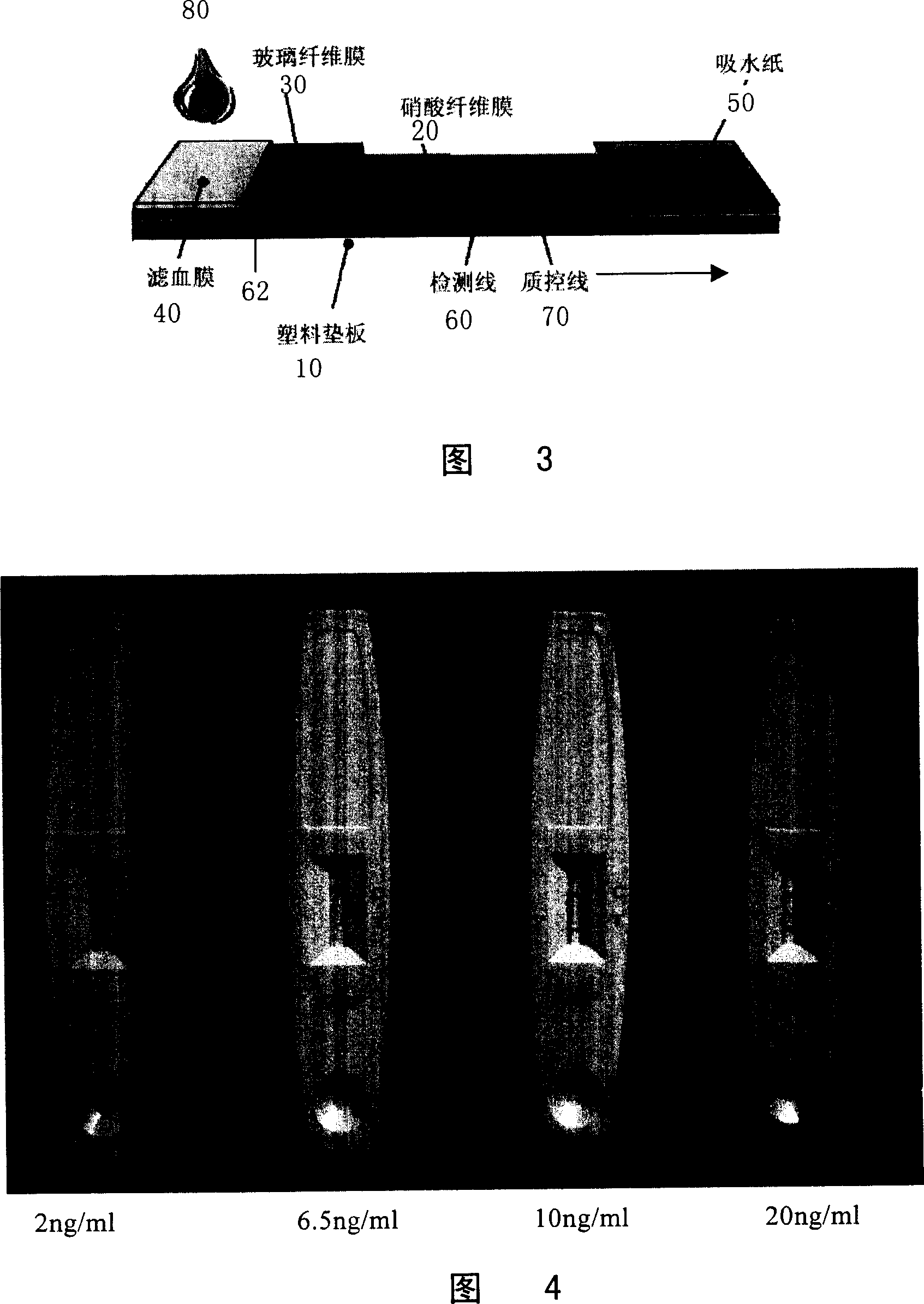 Method for preparing heart fatty acid binding protein monoclonal antibody and its use