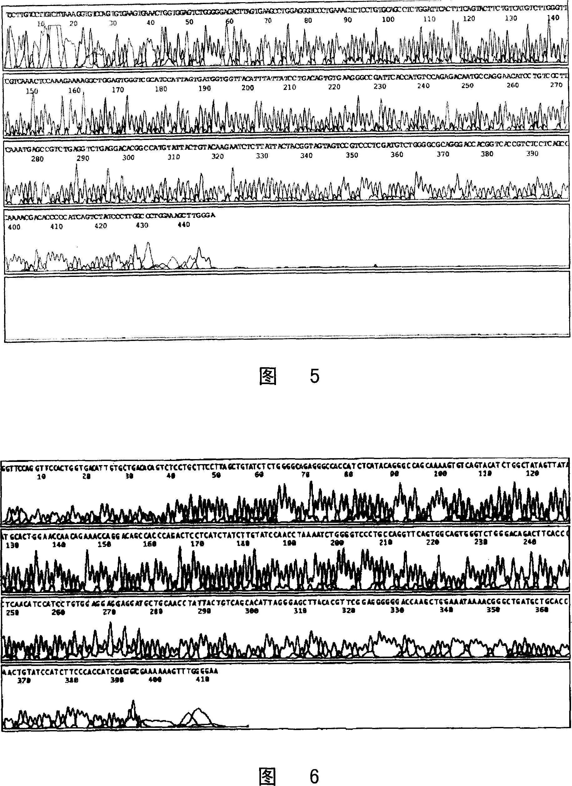 Method for preparing heart fatty acid binding protein monoclonal antibody and its use