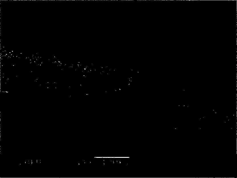 Hardenable resin composition, hardened body thereof, and printed wiring board