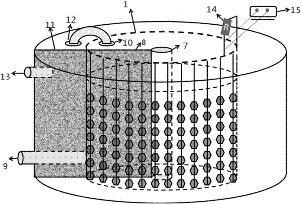 Annulus biological membrane electrode electrochemical device and application thereof