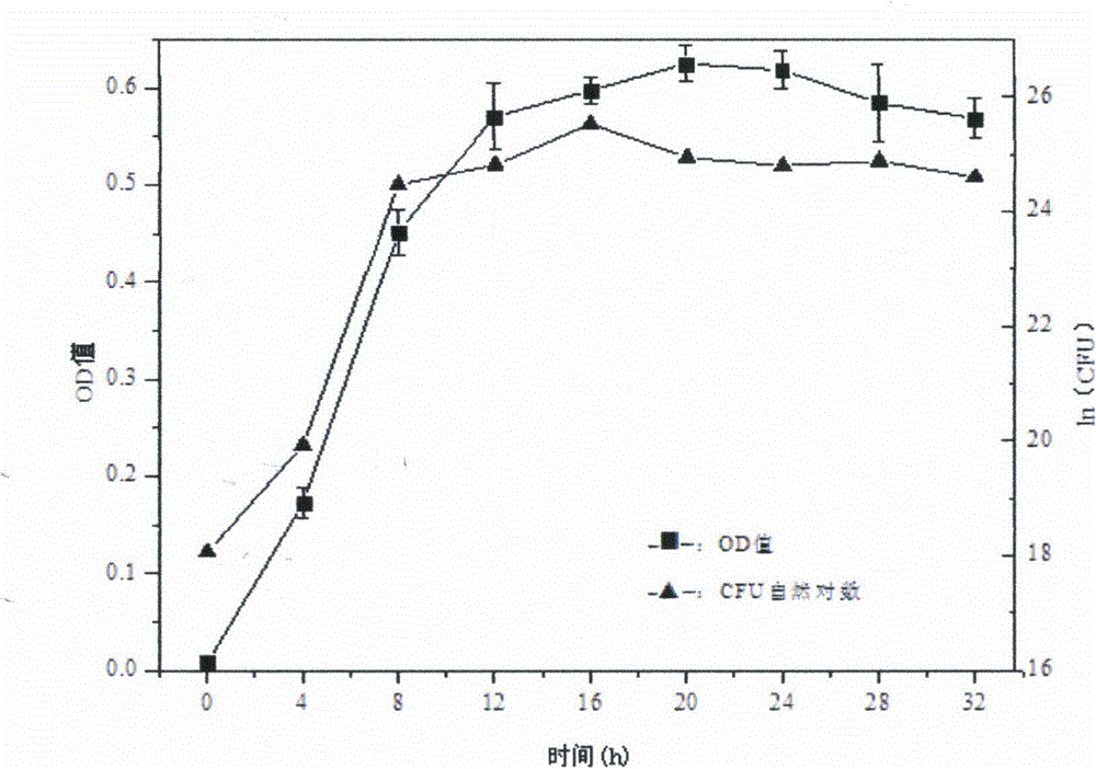 A Novel Seawater Fermentation Strain Producing Biosurfactant