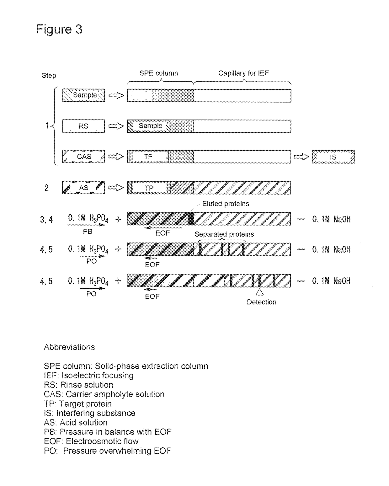 Capillary device for separation and analysis, microfluidic chip for separation and analysis, analysis method for proteins or peptides, electrophoresis instrument, and microfluidic chip electrophoresis instrument for separation and analysis