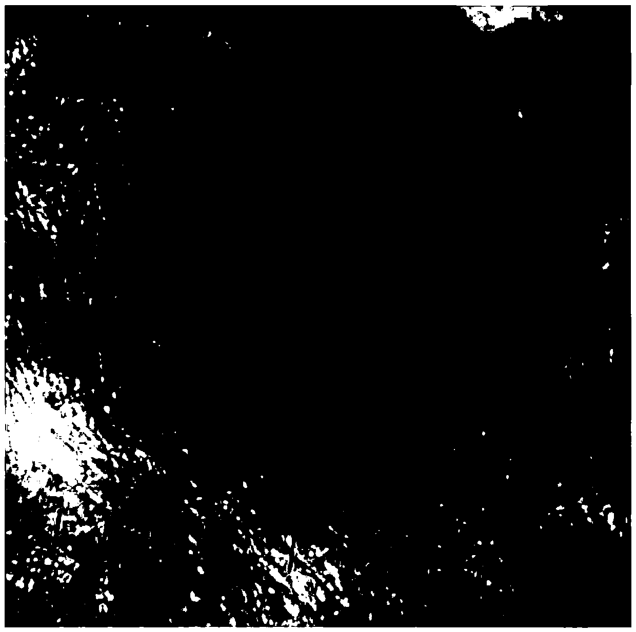 Skin tumor resection area calculating method