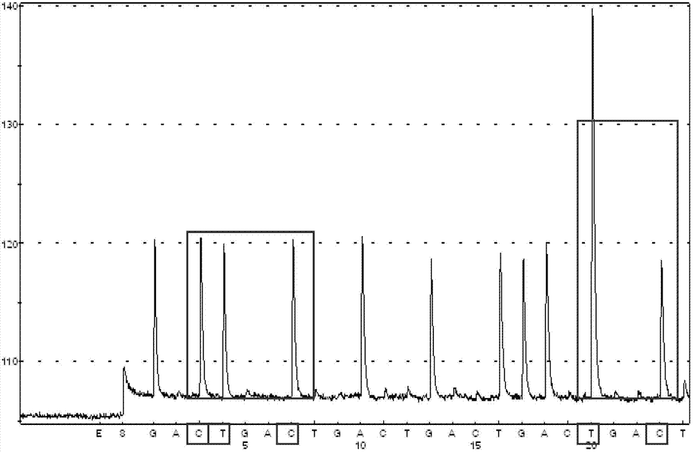 Kit for detecting hot spot mutation sites in colorectal cancer PIK3CA gene