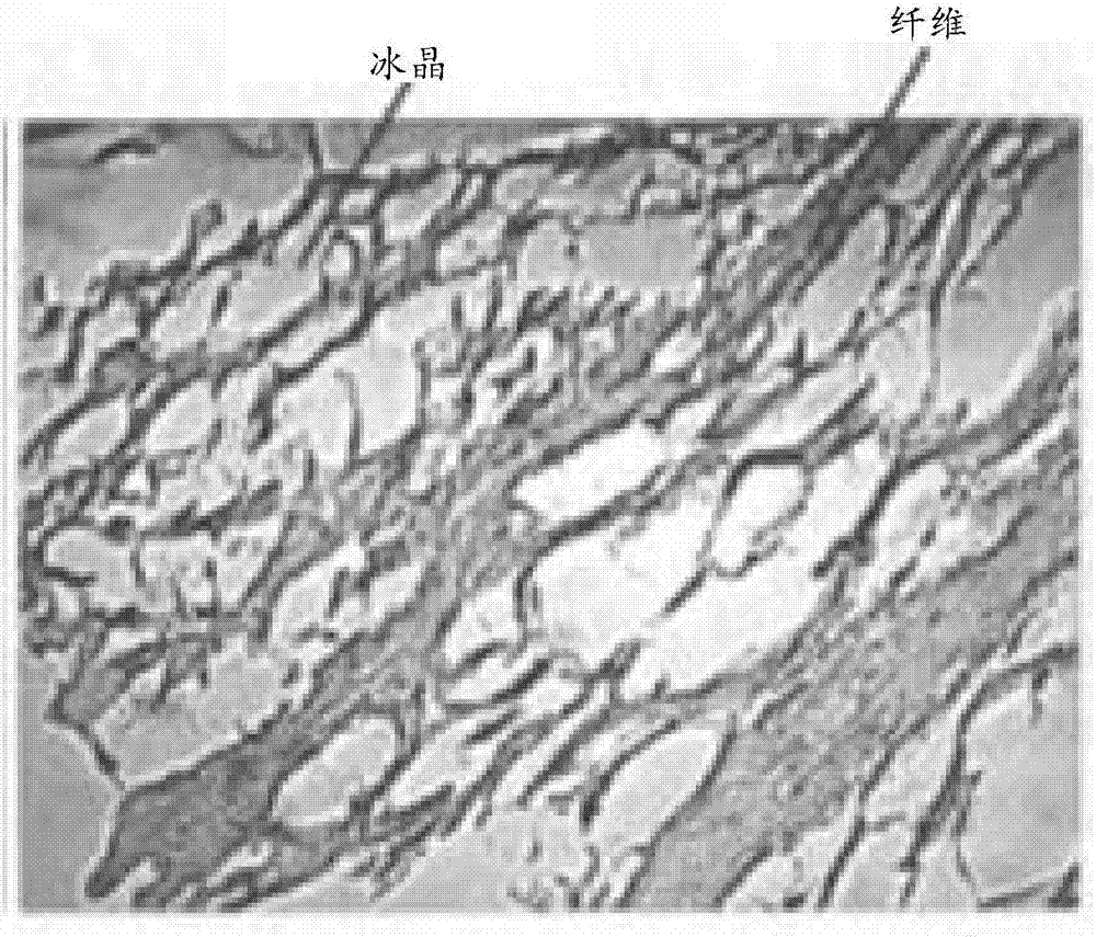 Low-freezing-point quick-freezing freshness retaining liquid