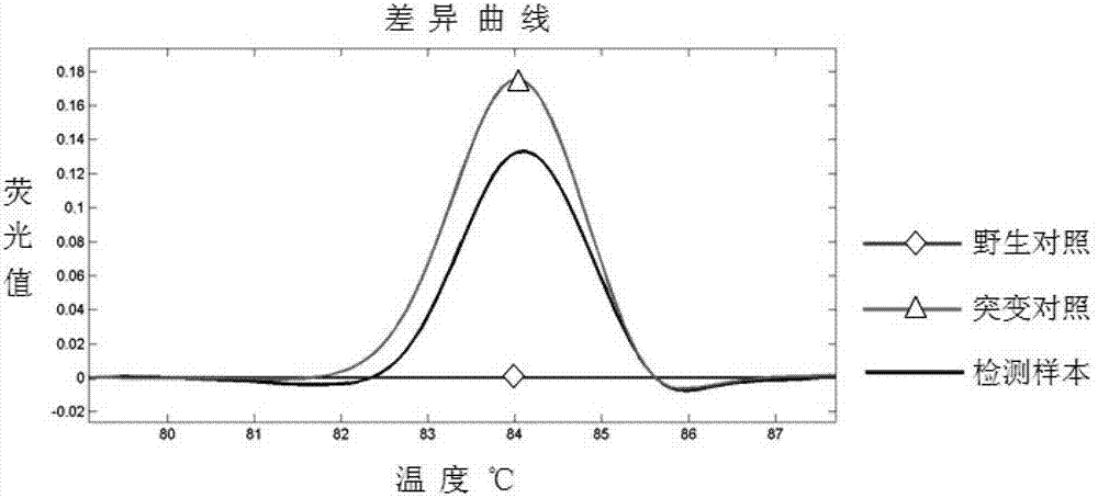 Detection primer for human IDH (isocitrate dehydrogenase) gene mutation and reagent kit