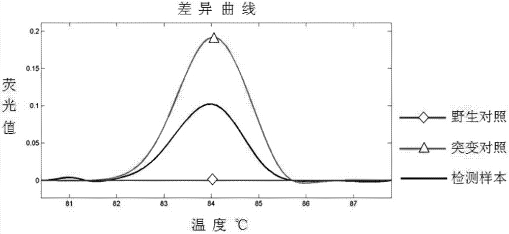 Detection primer for human IDH (isocitrate dehydrogenase) gene mutation and reagent kit