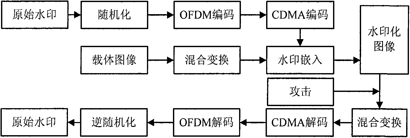 Robust digital watermark algorithm based on OFDM-CDMA