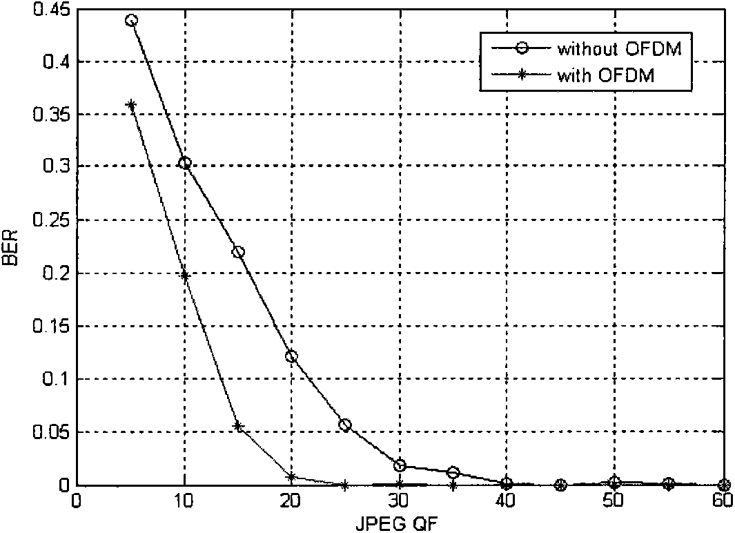 Robust digital watermark algorithm based on OFDM-CDMA