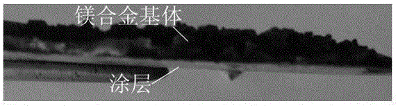 Magnesium alloy surface treatment method utilizing combination of laser beams and coated layer