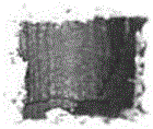 Magnesium alloy surface treatment method utilizing combination of laser beams and coated layer