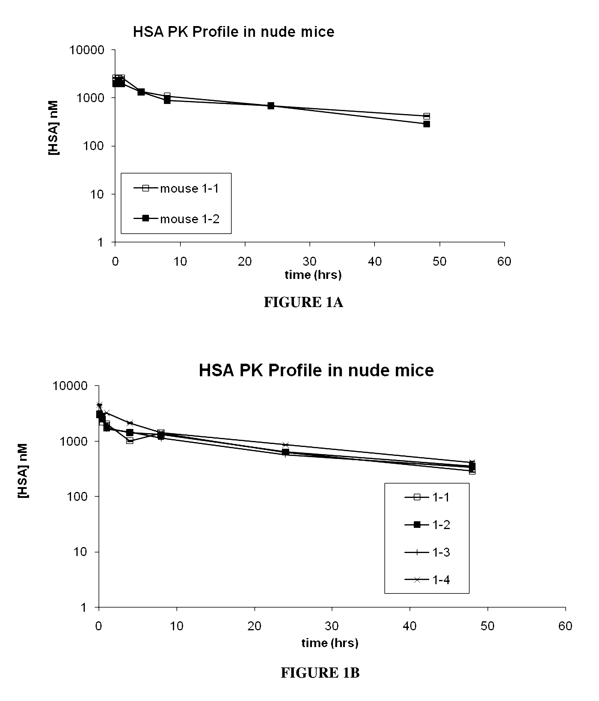 Serum albumin binding molecules