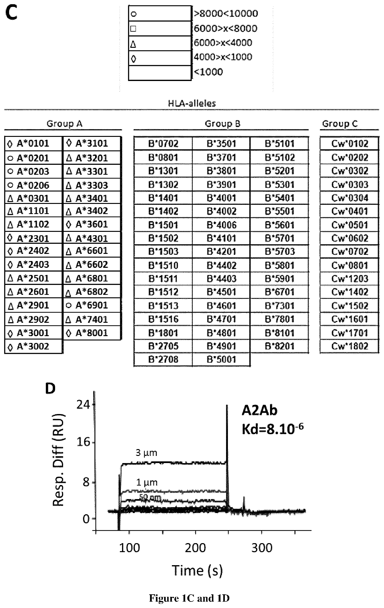 Methods and kits for generating and selecting a variant of a binding protein with increased binding affinity and/or specificity