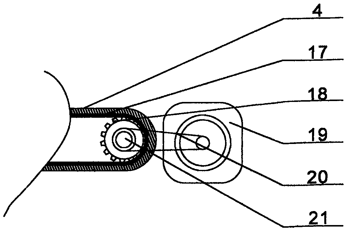 Ice and snow sports skill action and psychological quality training device