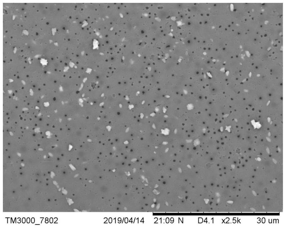 Polyacrylate composite material for CO2 adsorption and preparation method of polyacrylate composite material