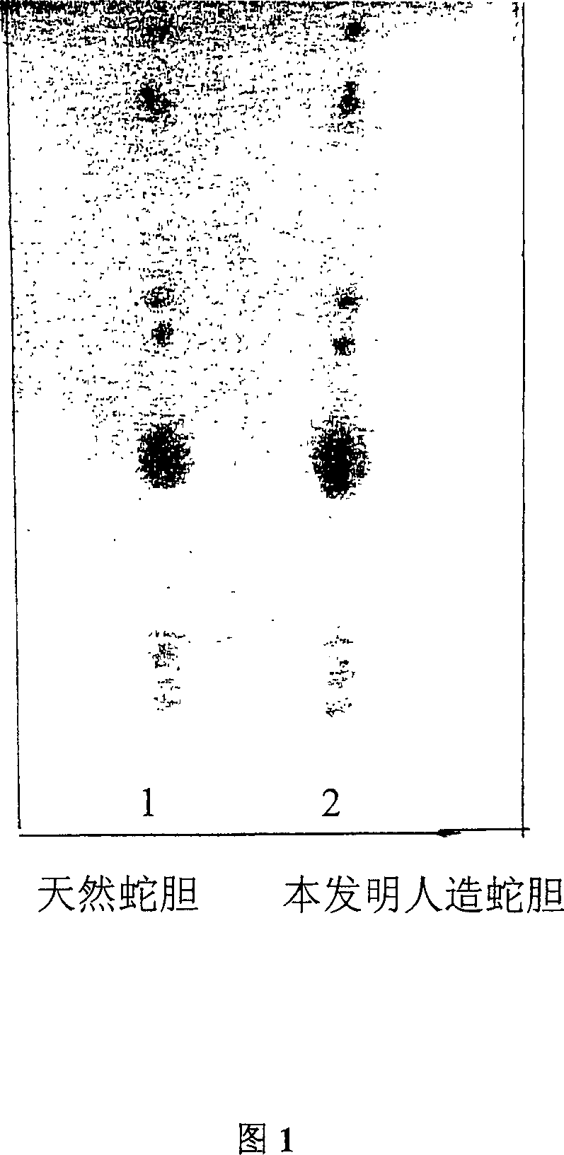 Snake gallbladder for artificial medicine and its production