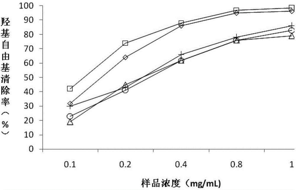 Application of callicarpa plant extract