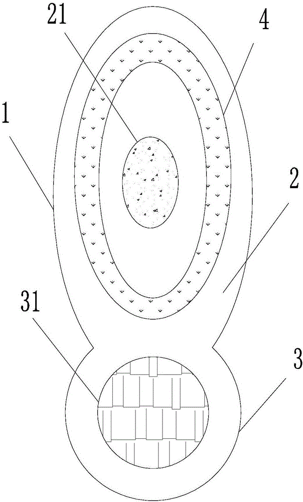 Deodorization foot patch