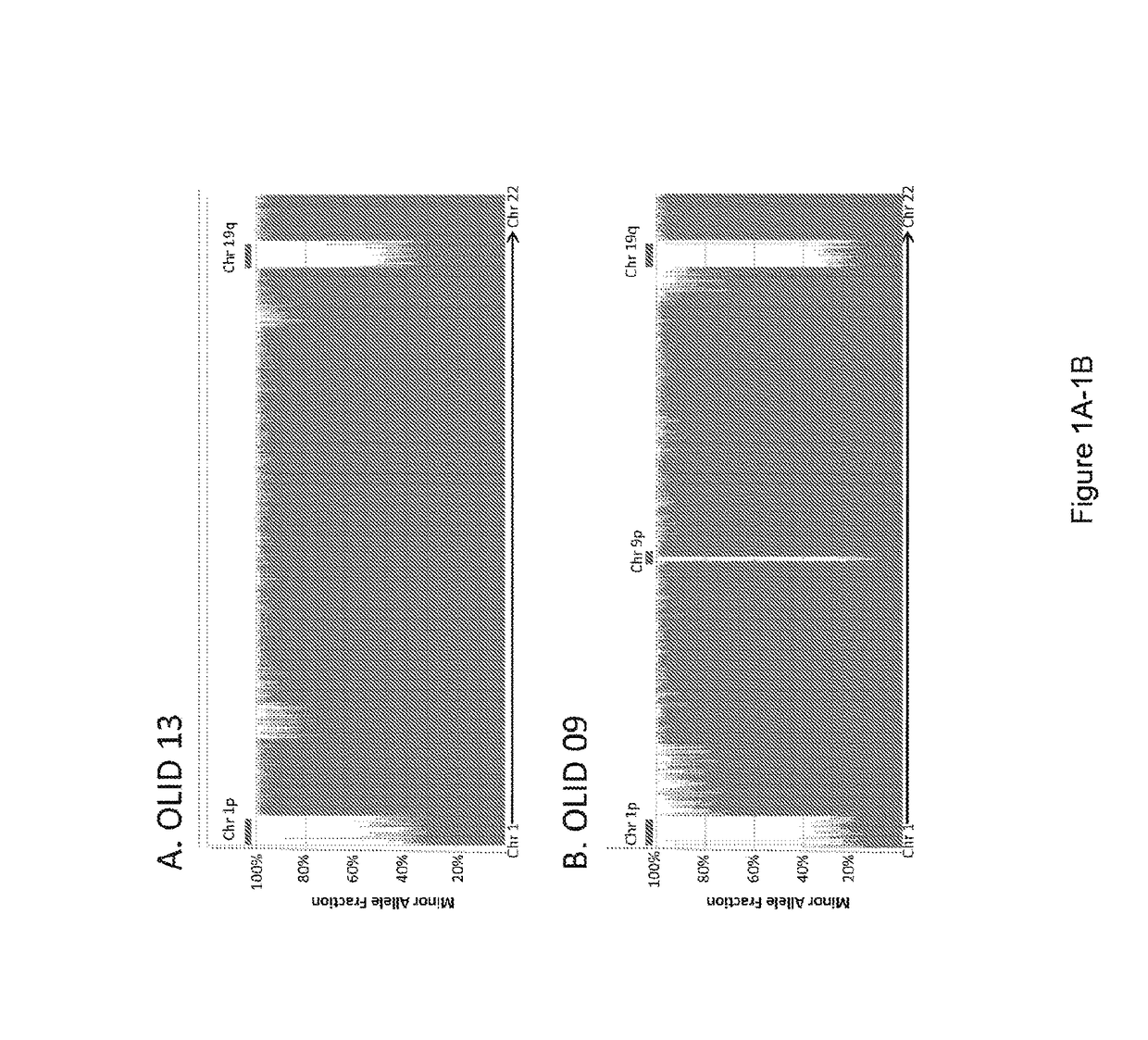 Oligodendroglioma drive genes