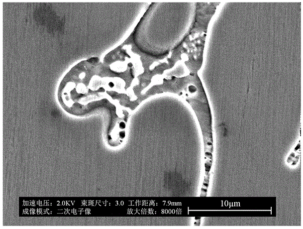 Rare earth magnetic material with controllable deformation of magnetic field and preparation method thereof