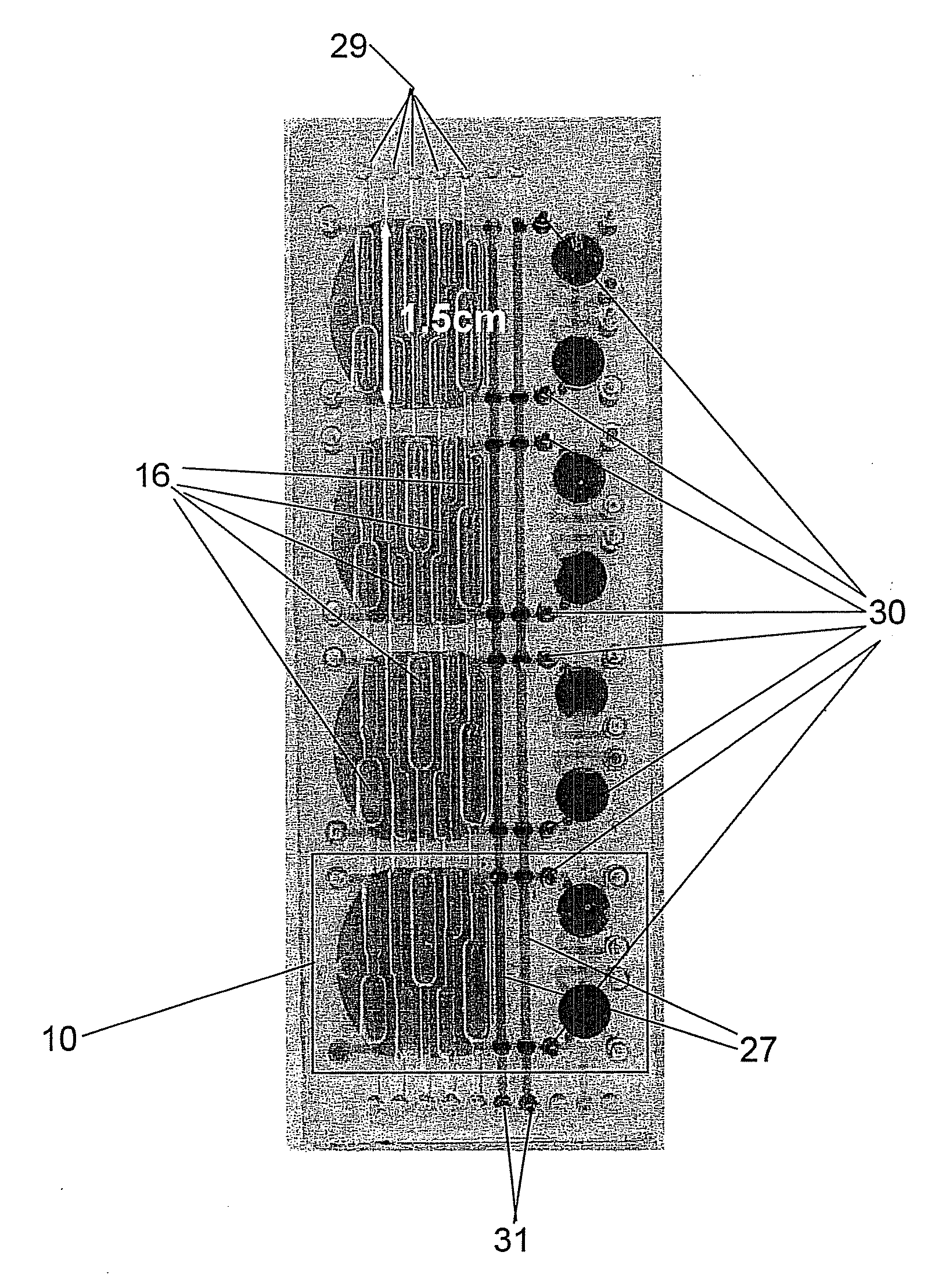 Parallel integrated bioreactor device and method