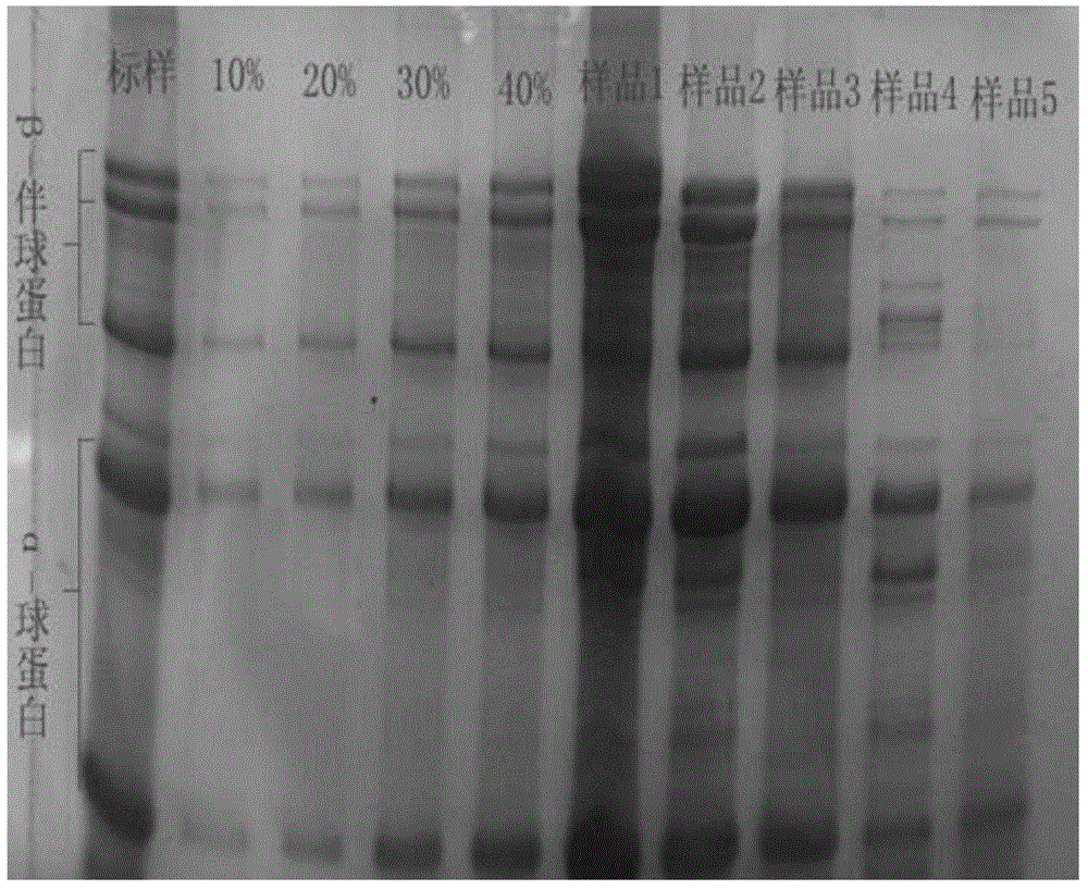 Soybeans without anti-nutritional factors and method for removing anti-nutritional factors of soybeans as well as application of soybeans