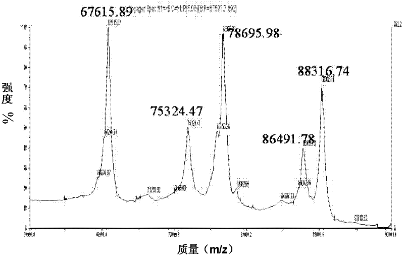 Method for identifying quantity of cysteine in protein and application thereof