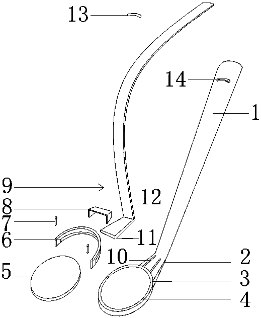 Stomatoscope