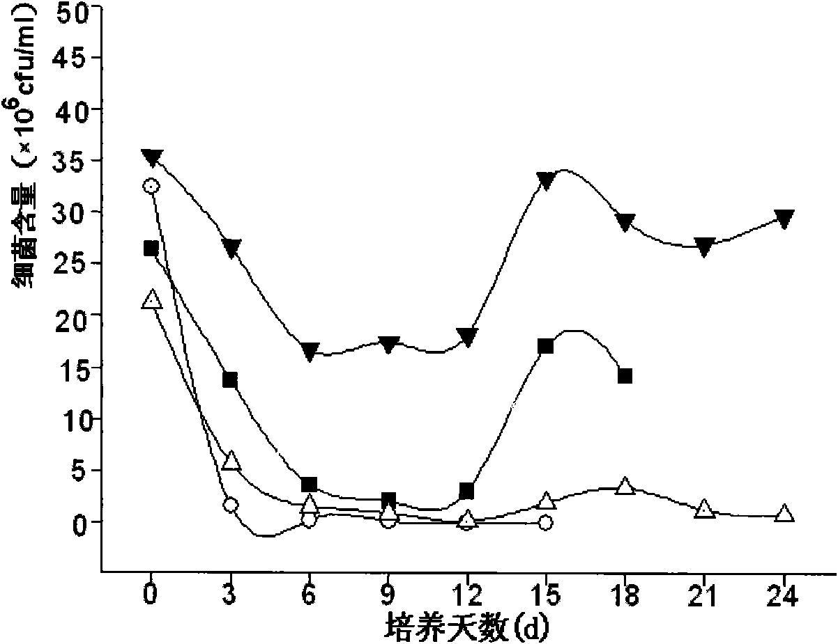 Culture method of Dunaliella and application of Dunaliella in biomass energy