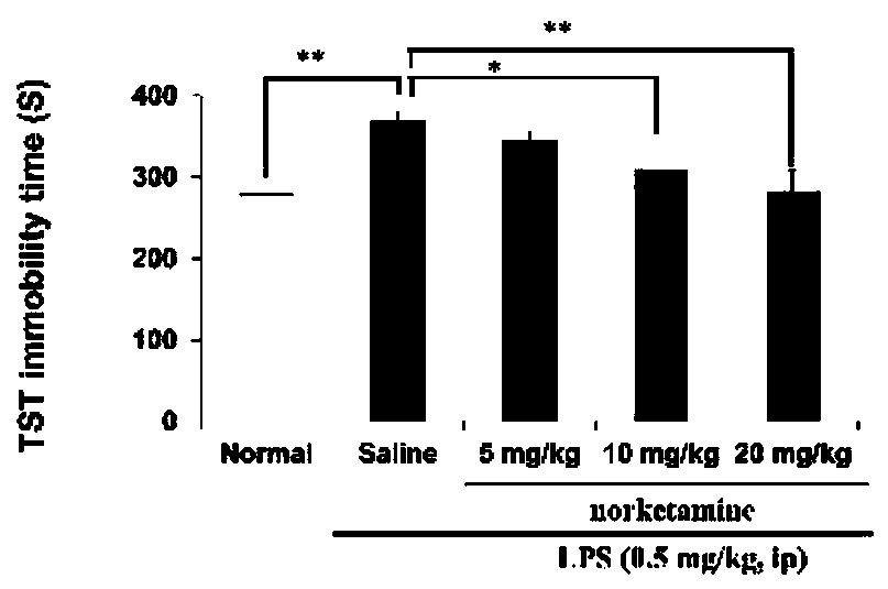 Application of norketamine in preparation of antidepressant drug