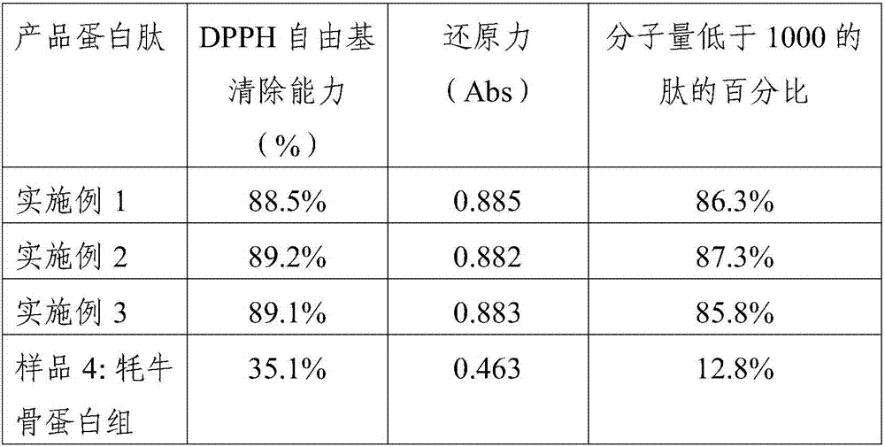 Yak bone protein peptide with DPP-IV inhibitory activity and preparation method thereof