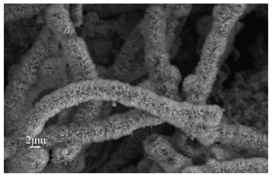 A kind of preparation method of three-dimensional nanostructure nickel cobalt sulfide material